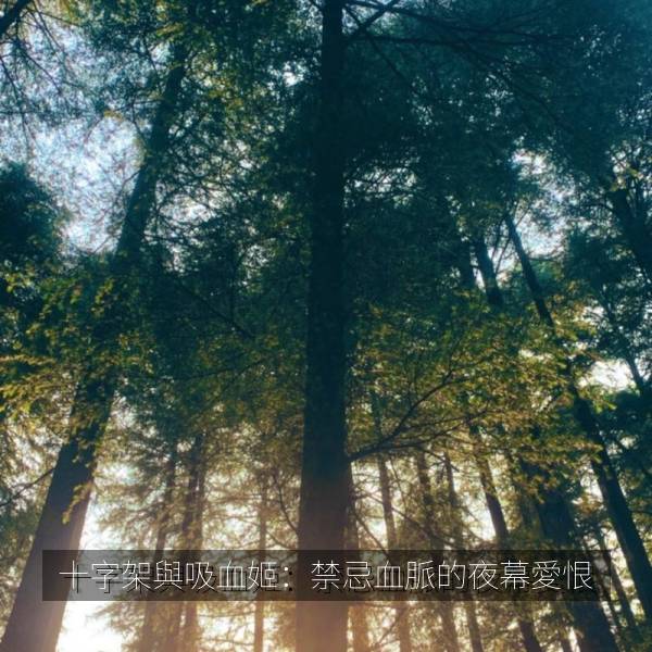十字架與吸血姬：禁忌血脈的夜幕愛恨 海报