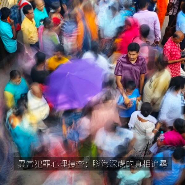 異常犯罪心理捜査：腦海深處的真相追尋 海报