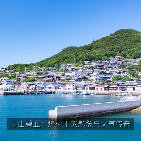 青山碧血：烽火下的影像与义气传奇 海报