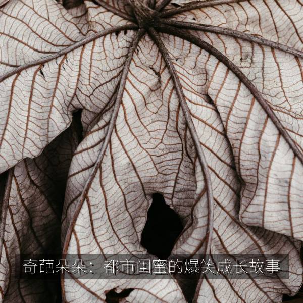 奇葩朵朵：都市闺蜜的爆笑成长故事 海报