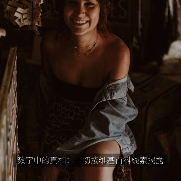 数字中的真相：一切按维基百科线索揭露 海报