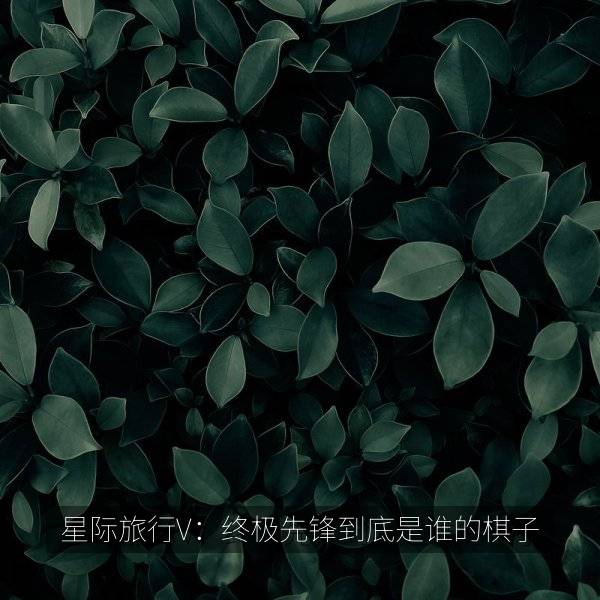 星际旅行V：终极先锋到底是谁的棋子 海报