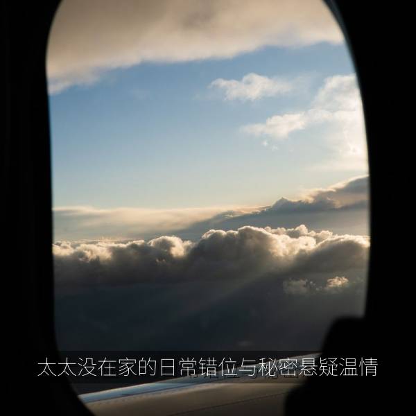 太太没在家的日常错位与秘密悬疑温情 海报