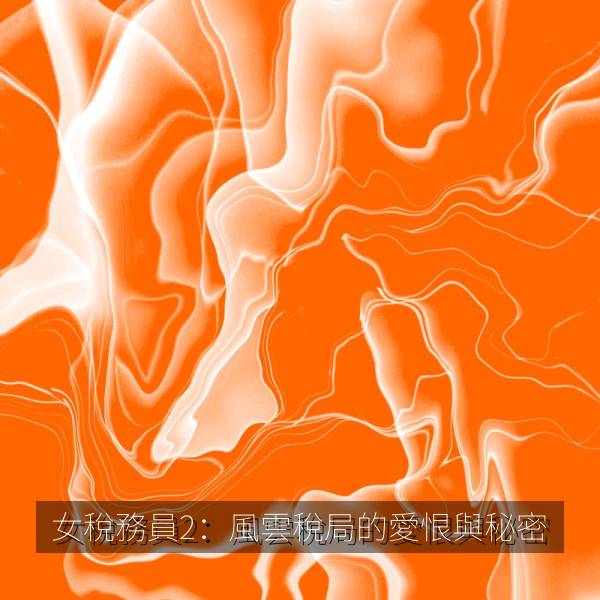 女稅務員2：風雲稅局的愛恨與秘密 剧照海报