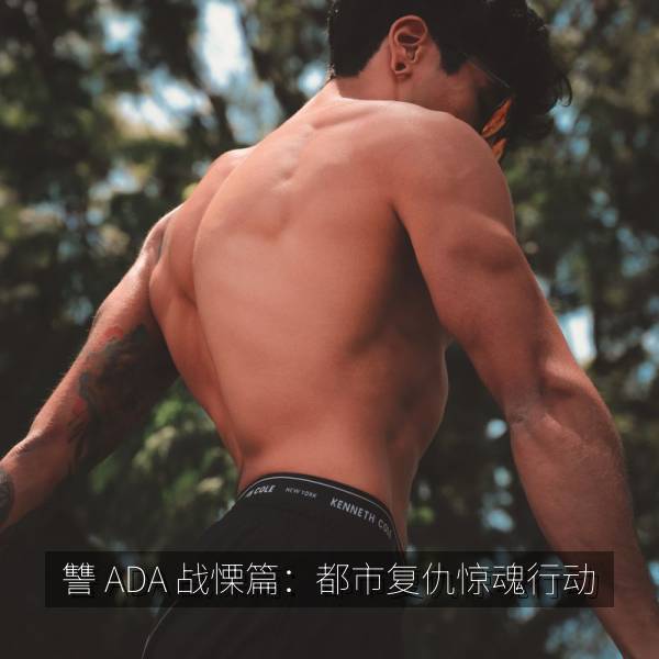 讐 ADA 战慄篇：都市复仇惊魂行动 海报