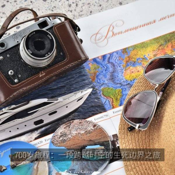 700岁旅程：一段跨越时空的生死边界之旅 海报