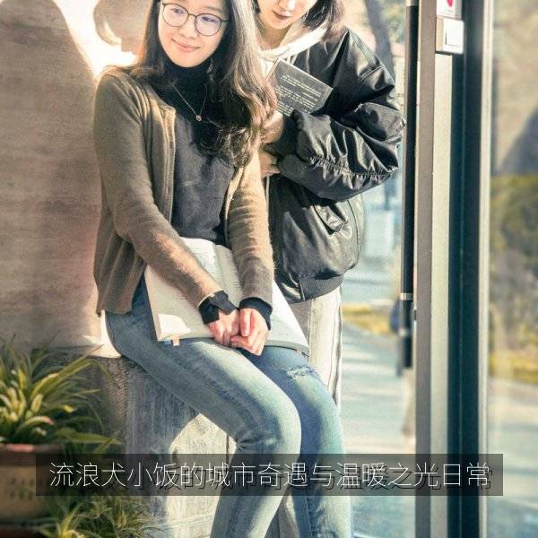 流浪犬小饭的城市奇遇与温暖之光日常 海报